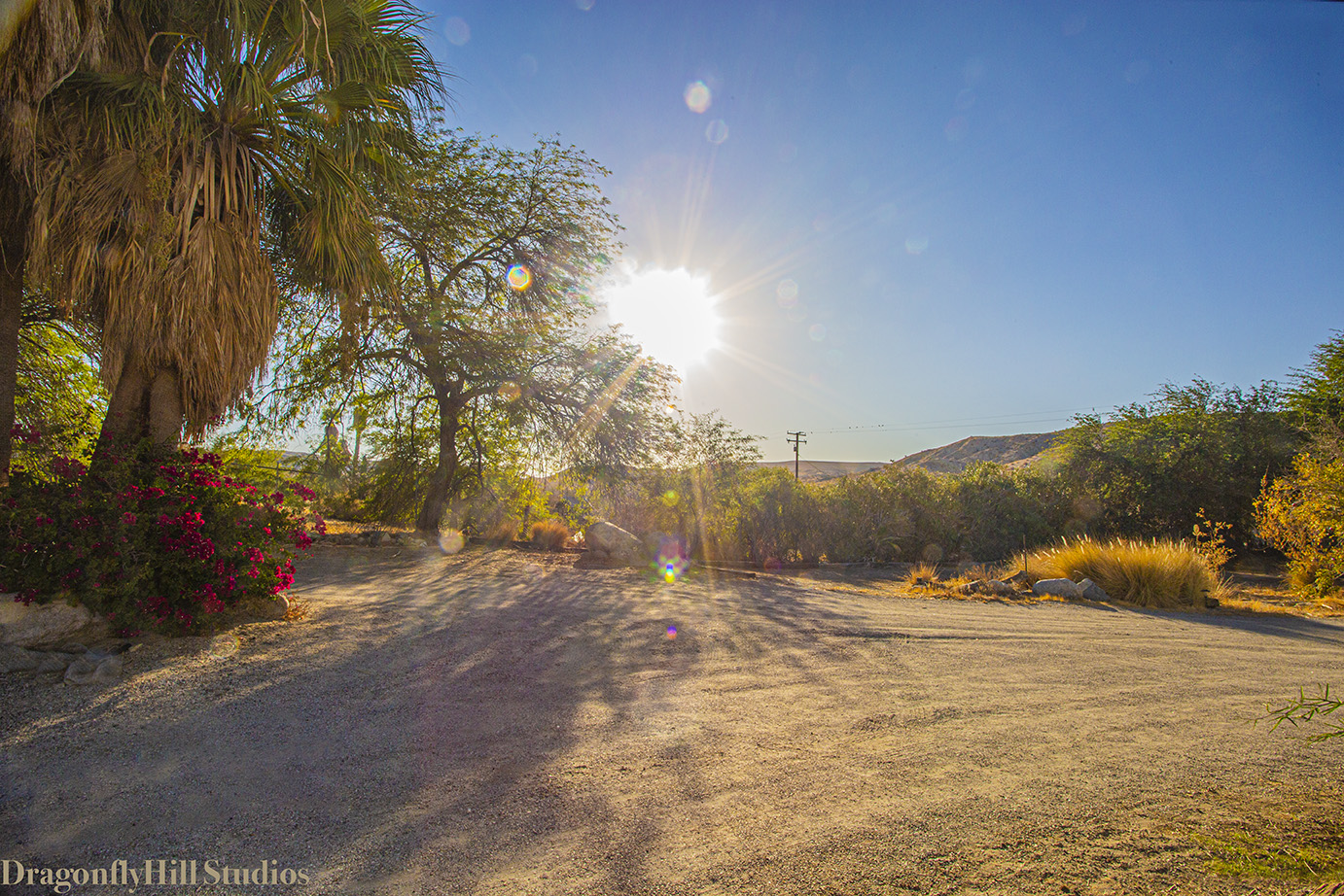 Good Morning (The View from Our Front Porch) by Emma Rosenthal of DragonflyHill Studios Our dirt driveway with the hills in the distance, light diffused through leaves, trees and grasses. Early morning golden light. Light flares and colorful circles. Deep blue skies. Palm trees, bougainvillea and mesquite trees.