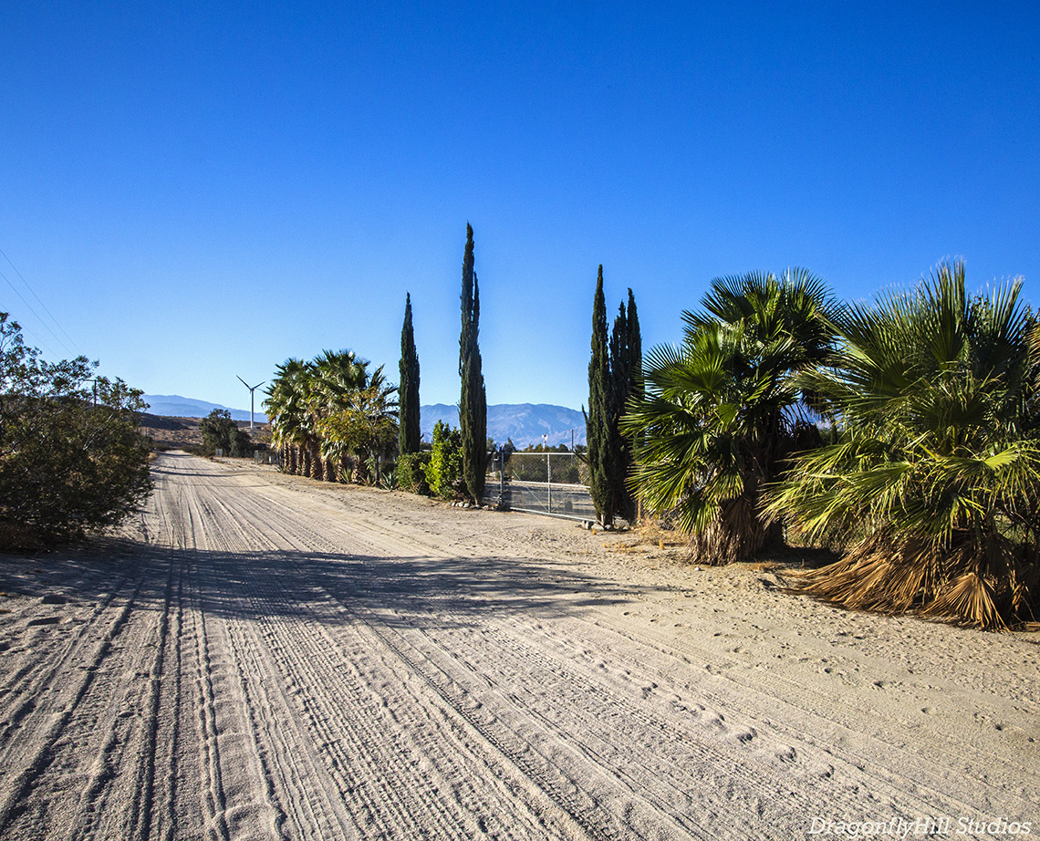 The road to DragonflyHill: a dirt road, framed by palm trees and creosote bushes with mountains and windmills in the background and a deep blue sky.