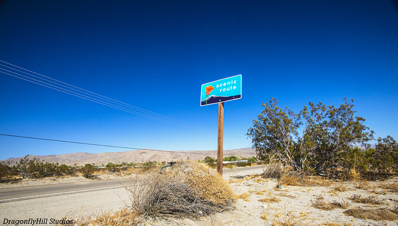 Scenic Route: Dillon Road (to Sky Valley) by Emma Rosenthal of DragonflyHill Studios DragonflyHill Community Image of Dillon Road, the hills behind it, creosote bushes and a sign that read "Scenic Route". The sky is deep blue. The shot is taken with a wide angle lens, from the ground, looking up toward the sign.