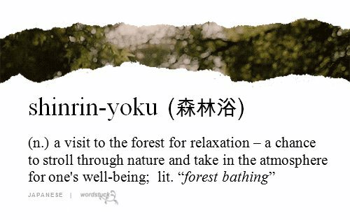 Text: shinrin-yoku (Japanese characters spelling out shinrin-yoku) (n.) a visit to the forest for relaxation- a chance to stroll through nature and take in the atmosphere for one's well-being: lit. ""forest bathing"