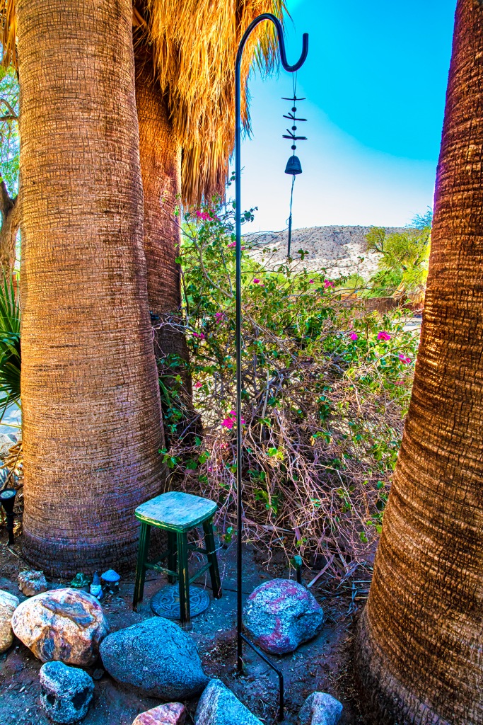 Sitting on the bench in the tree bath, this shoot shows the view of the tree bath and the hills beyond, from the bench. There are 4 palm trees, a small green wooden stool, rocks and a shepherd's crook holding a dragonfly wind chime. Between the trees is a large bougainvillea bush with bright magenta flowers against a blue sky.