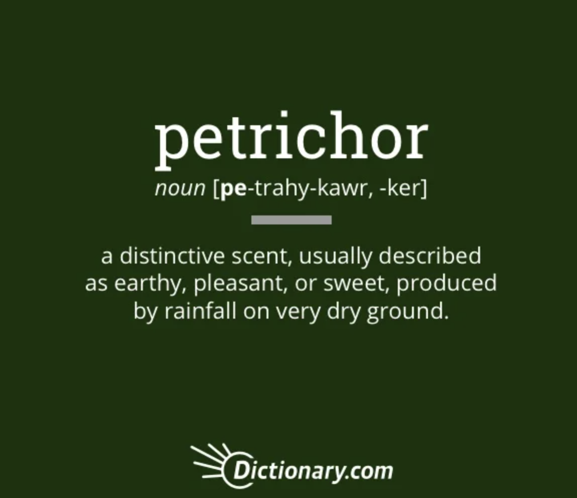 Petrichor noun {PE-trahy-kawr, -ker a distinctive scent, usually described as earthy, pleasant, or sweet, produced by rainfall on very dry ground dictionary.com